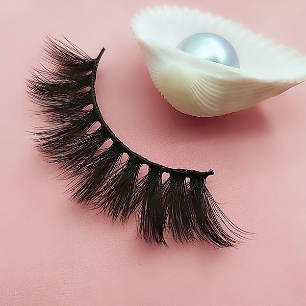 DW02-Wandeyelashes with shell DW02-Wandeyelashes with shell