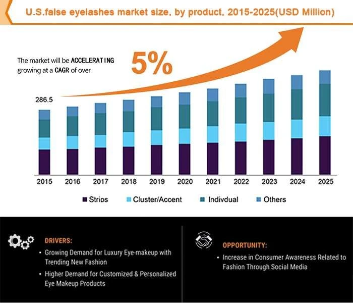 Eyelashes Market Size Growth Diagram_Jc
