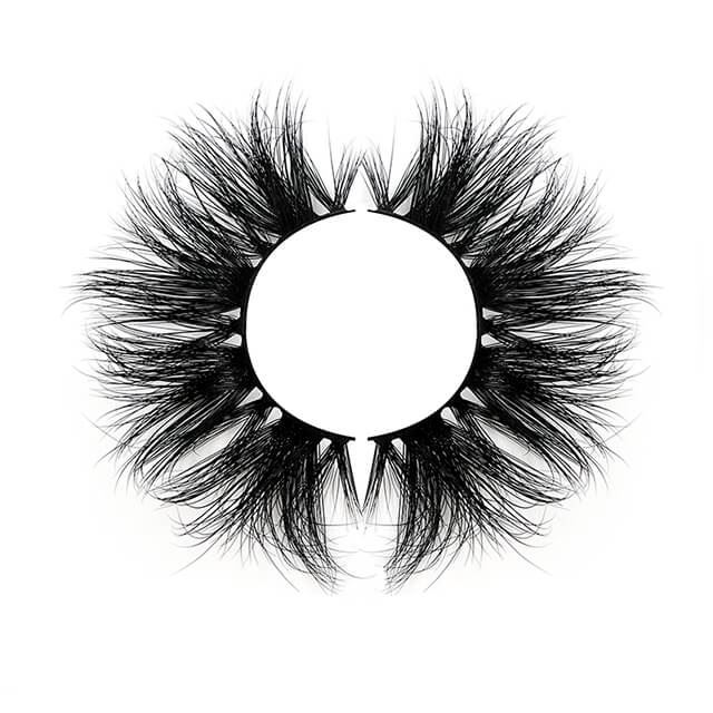 photobank (1) (1)